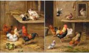 Farmyard Neighbours; The Outside World