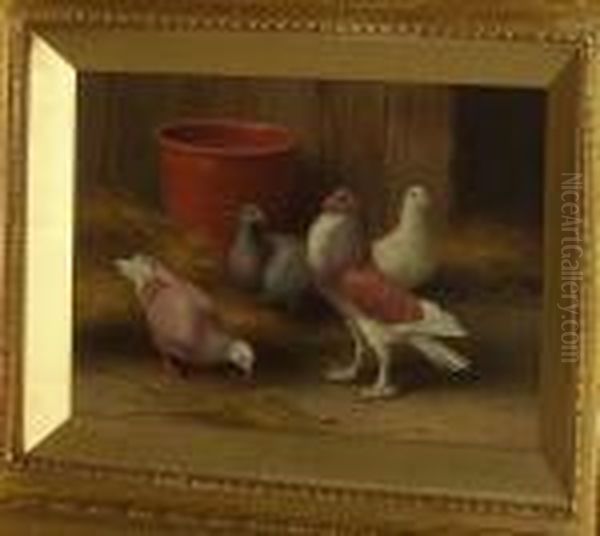Pigeons By A Terracotta Pot - view 1