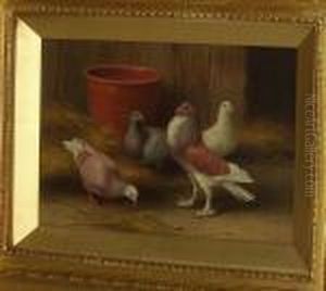 Pigeons By A Terracotta Pot by Edgar Hunt