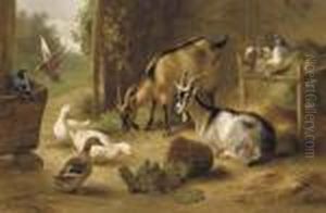 Goats, Ducks And Pigeons In A Stable Doorway by Edgar Hunt