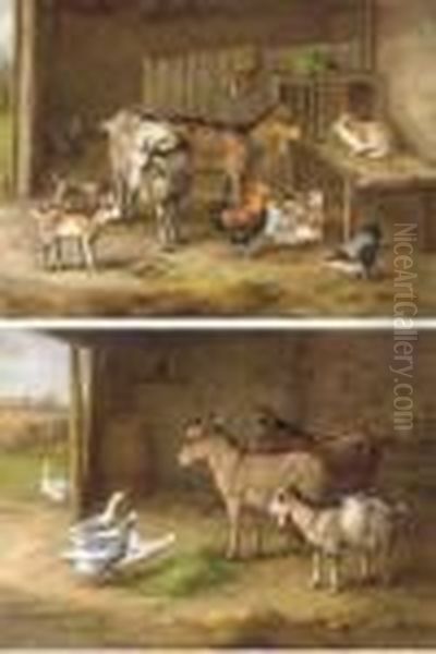 Goats, A Rabbit And Chickens In A Barn; And Donkeys And Geesefeeding - view 1