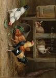 Chickens By A Rabbit Hutch by Edgar Hunt