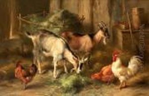 Goats And Chickens In An Interior by Edgar Hunt