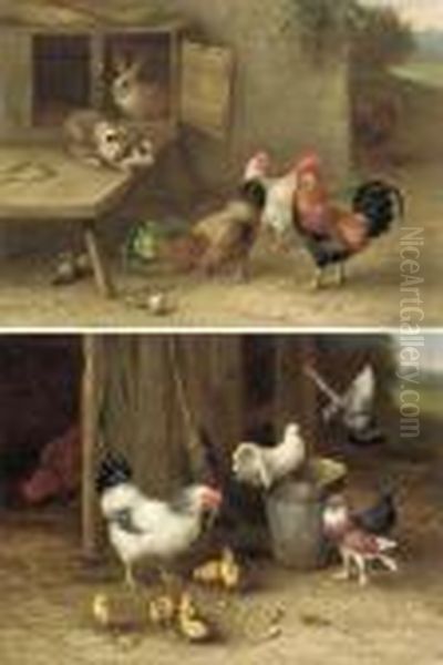 Chickens, Chicks And Doves; And The Rabbit Hutch, With Rabbits And Chickens - view 1
