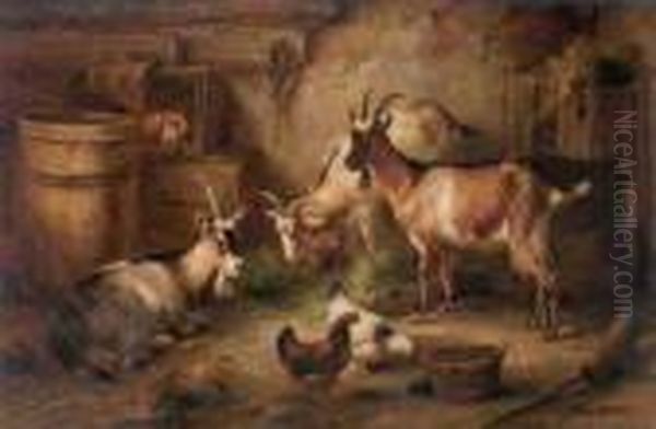 Goats And Chickens In A Stable - view 1