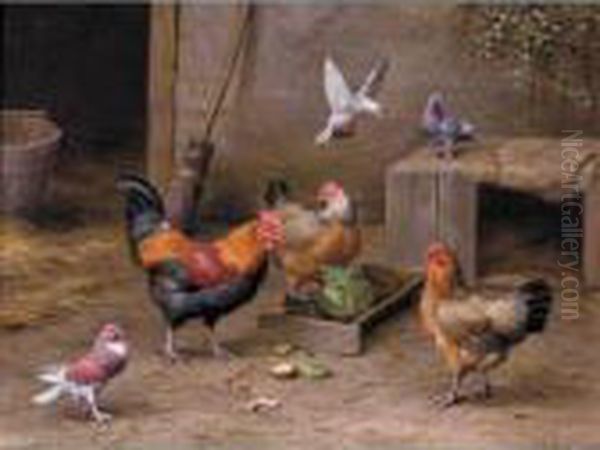 Chickens In A Farmyard - view 1