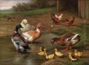 Chickens, Ducks And Ducklings Paddling; And Puppies And Pigeonsplaying By A Kennel by Edgar Hunt