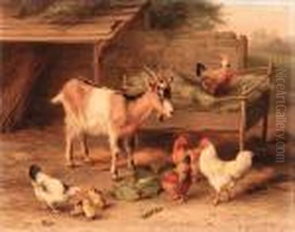A Shared Meal - view 1