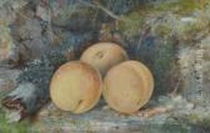 Still Life Study Peaches On A Mossy Bank Still Life Study Peaches On A Mossy Bank