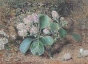 Still Life Of Apple Blossom by William Henry Hunt