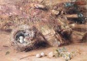 Bird's Nest On A Mossy Bank by William Henry Hunt
