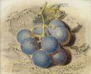 A Bunch Of Grapes A Bunch Of Grapes