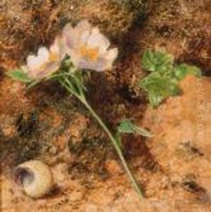 Snowdrops And A Snail