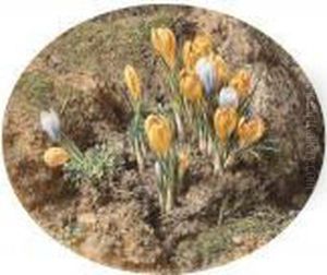 Crocuses Growing On A Mossy Bank by William Henry Hunt