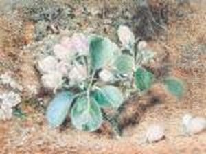 Apple Blossom On A Mossy Bank by William Henry Hunt
