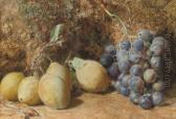 Still Life Of Plums, Grapes And Rosehips On A Mossy Bank - view 1