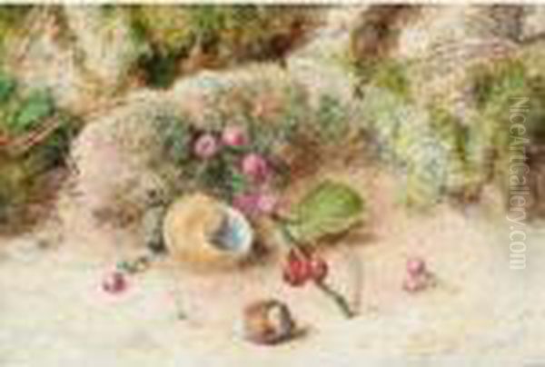 A Still Life Of Berries, A Shell And Hazlenut - view 1