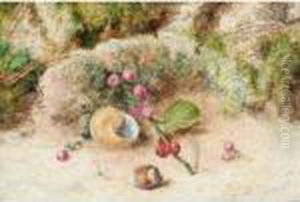 A Still Life Of Berries, A Shell And Hazlenut