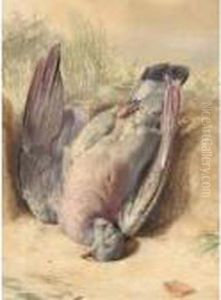 Still Life With A Dead Pigeon by William Henry Hunt
