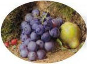 Still Life With Grapes, Rosehips And A Pear On Mossy Bank