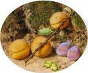 Still Life With Apricots And Plums On A Mossy Bank