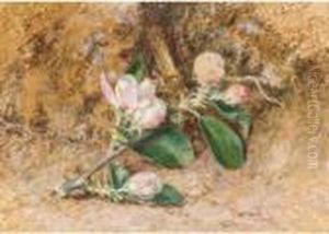 Apple Blossom by William Henry Hunt