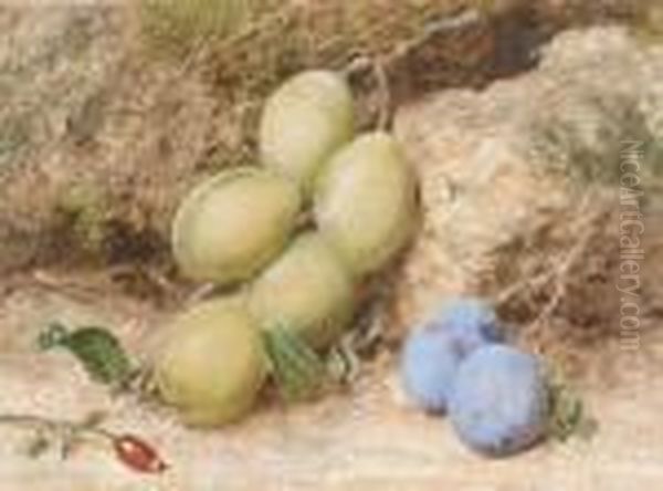 Magnum Bonum And Orleans Plums - view 1