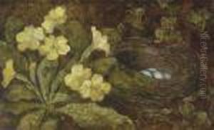 A Primula And A Bird's Nest On A Mossy Bank