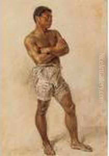 Study Of A Boxer - view 1