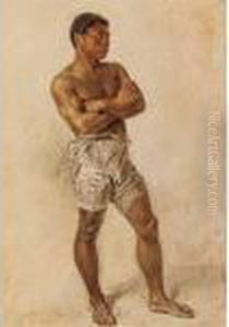 Study Of A Boxer