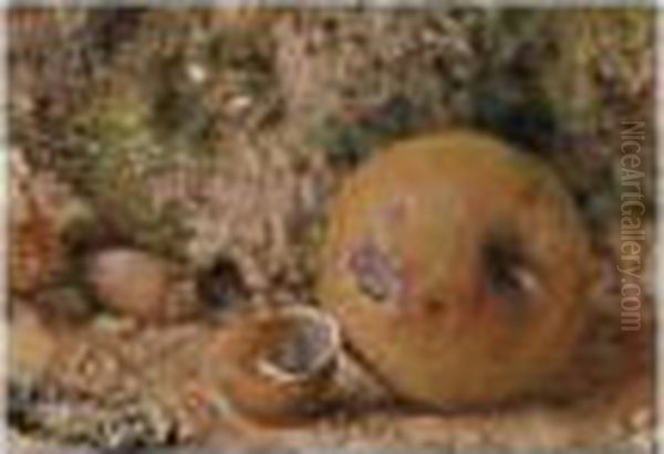 Still Life Of An Apple, A Shell And A Nut - view 1