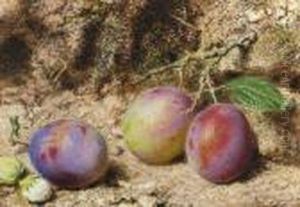Still Life With Plums And Hazelnuts On A Mossy Bank