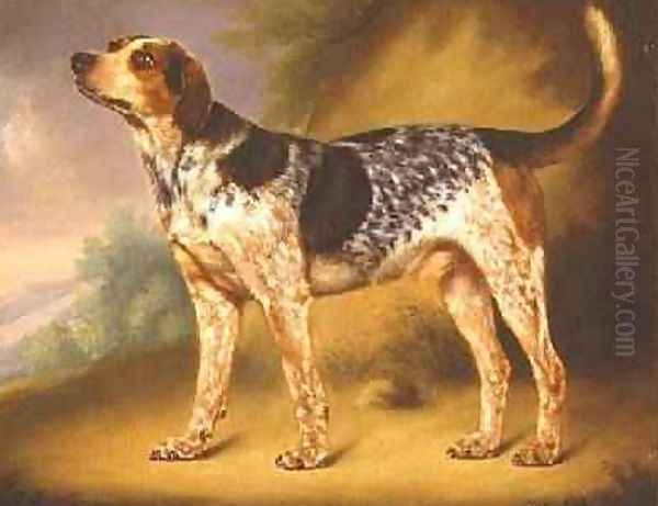 Richard Stracheys Hound Glancer 1808 - view 1