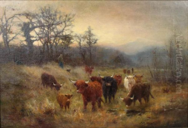 Highland Cattle - view 1
