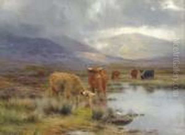 A Rainy Day In The Highlands - view 1