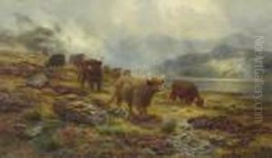On The Hill - A Misty Morning