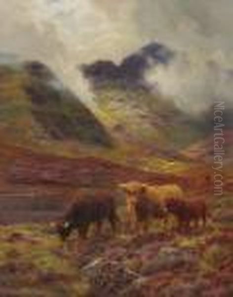 Highland Cattle Grazing - view 1