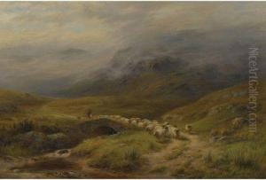Morning - Near Crianlarich, Perthshire