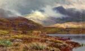 Hills At Lochgoilhead