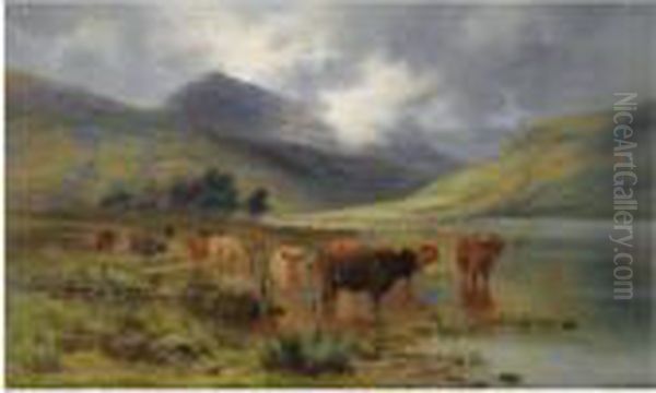 Highland Cattle - view 1