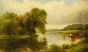 Cattle Watering In A Tranquil River Landscape Cattle Watering In A Tranquil River Landscape
