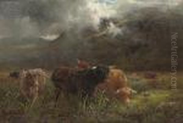 A Rough Pasture; Showery Weather - view 1