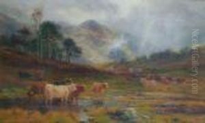Highland Cattle On The Moor