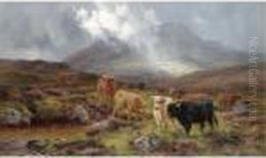 Trhough The Glen