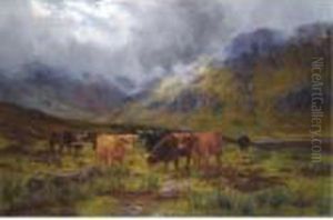 Morning Mists Glen Tilt