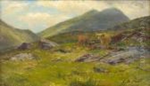 On The Hills Glen Goil - view 1