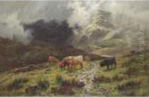 Cattle In A Highland Landscape - view 1