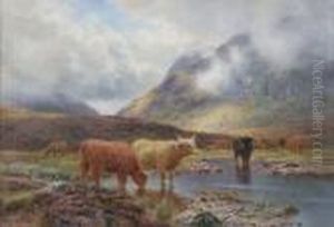 On Rannoch Moor