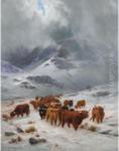 Caledonia, Stern And Wild - view 1