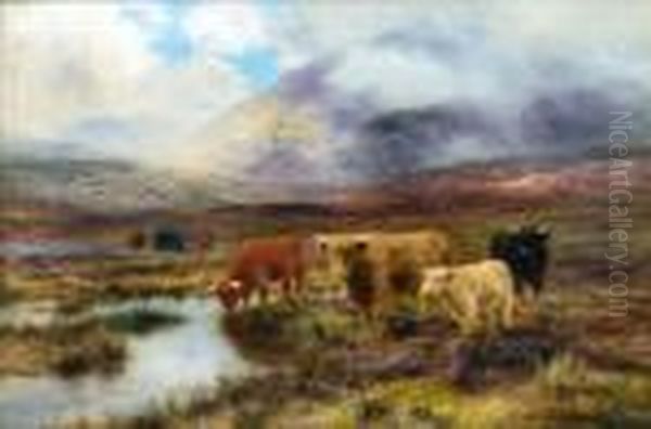 Scottish Moorland - view 1
